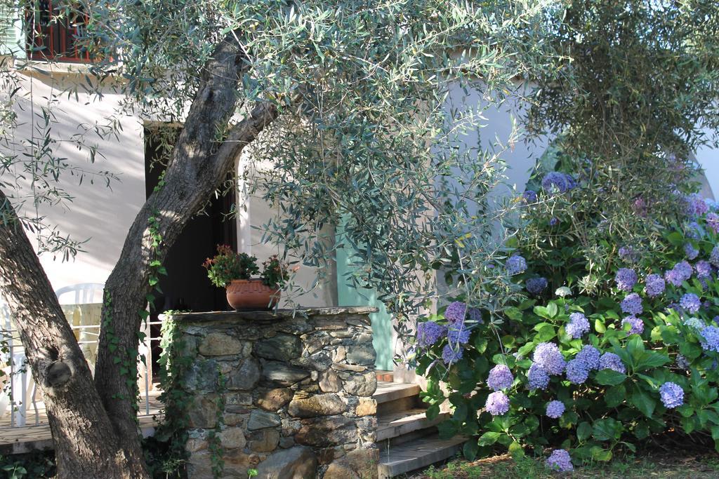 Chambres D'Hotes Le Clos Des Oliviers Sorbo-Ocagnano Rum bild